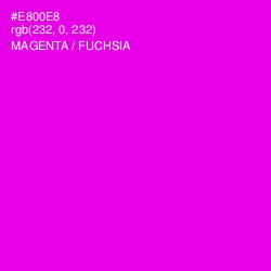 #E800E8 - Magenta / Fuchsia Color Image